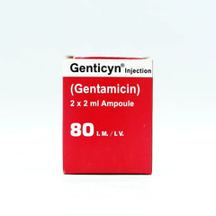 Gentycin Im/Iv Injection 80mg (1 Box = 2 Ampoules)