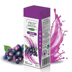 Fruit Nation Falsa Nectar 200ml